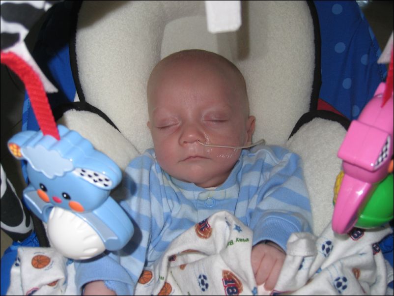 Sebastian sleeping in his chair